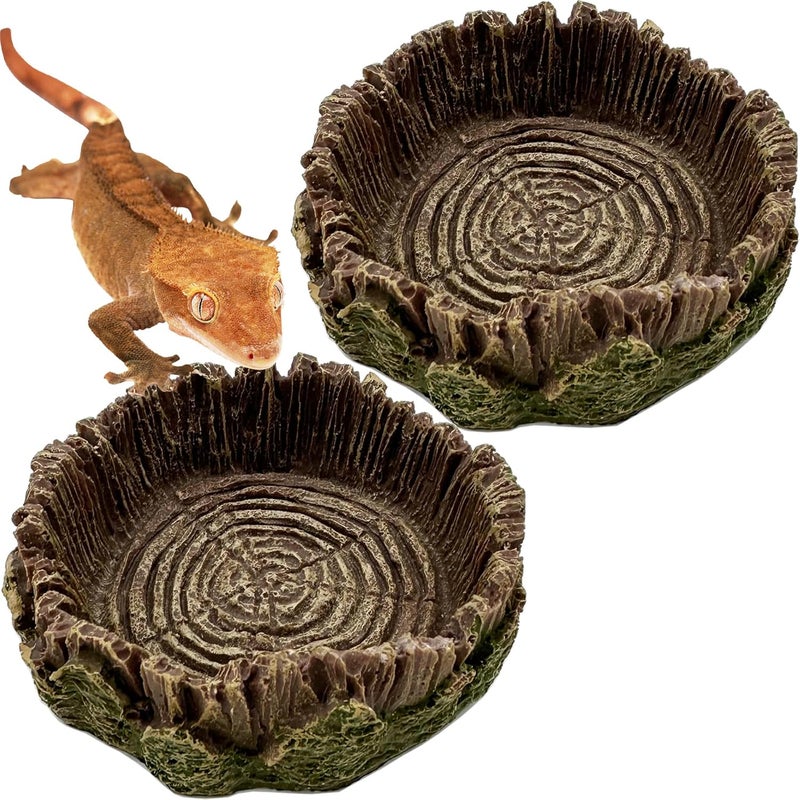 CATENEED Small Reptile Food Dish, 2 Pack Reptile Feeding Food Bowls for Bearded Dragon Gecko Lizard Frog Hermit Crab Snail Toad - Image 1